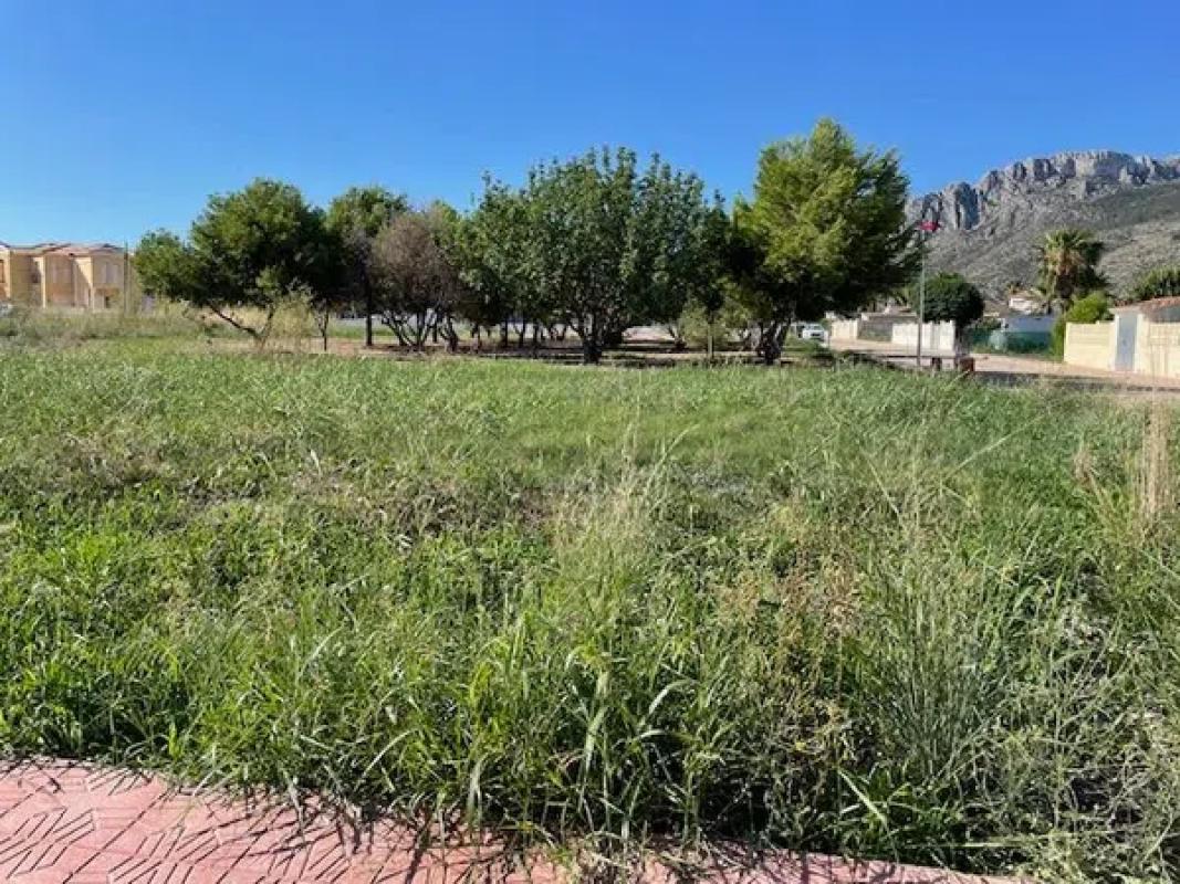 Terreno en venta en Els Poblets, Alicante photo 5