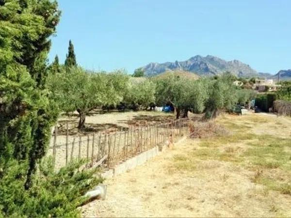 Terreno en Busot photo 1