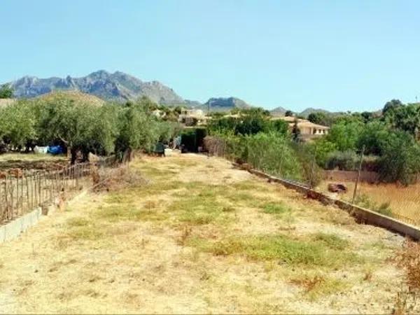 Terreno en Busot photo 4
