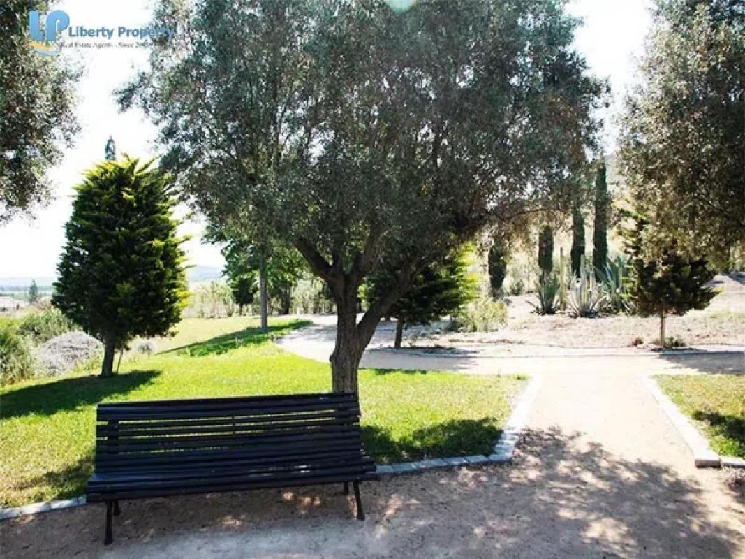 Land for sale in San Vicente del Raspeig, Alicante photo 4