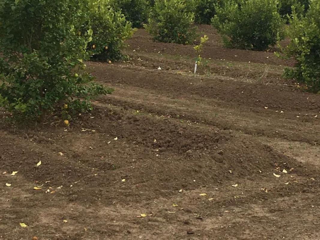 Участок земли на продажу в Гранха-де-Рокамора, Аликанте photo 4
