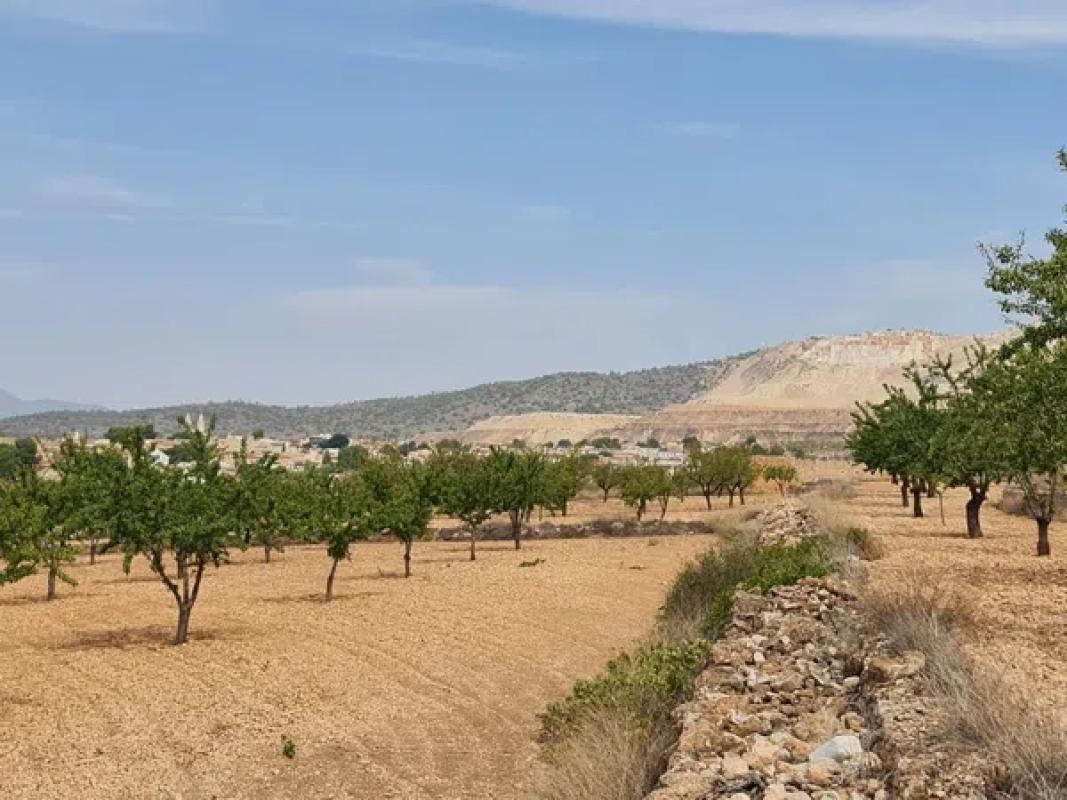 Terreno en venta en Algueña, Alicante photo 2