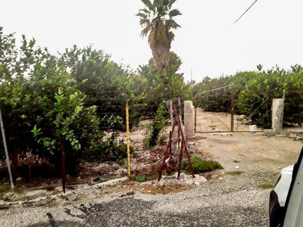 Terreno en Partida Daimes photo 1