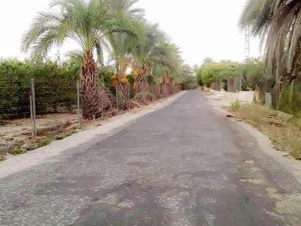 Terreno en Partida Daimes photo 3