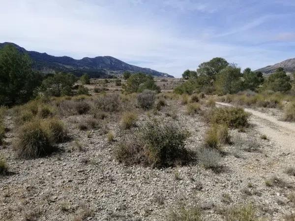 Terreno en l'Alcaná s/n photo 1