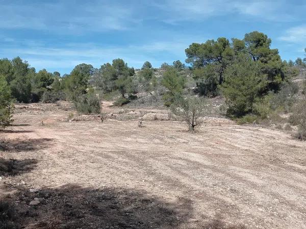 Terreno en l'Alcaná s/n photo 2