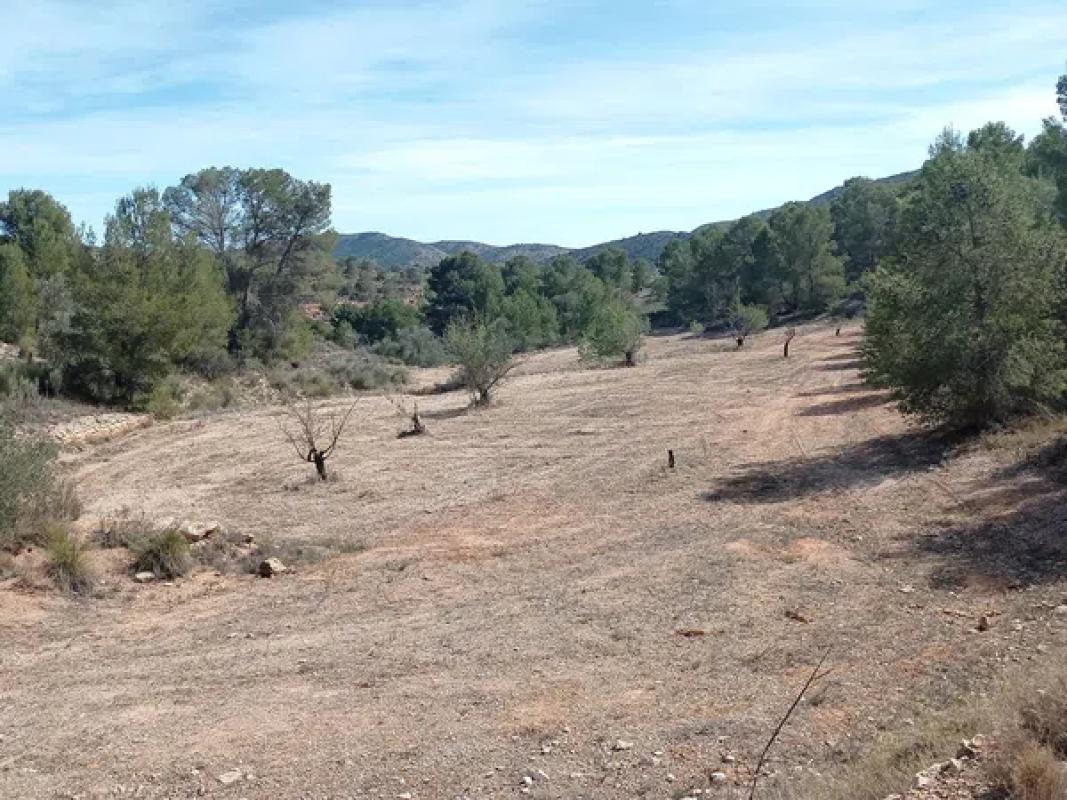 Terreno en venta en La Romana, Alicante photo 3