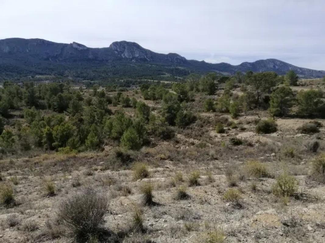 Terreno en venta en La Romana, Alicante photo 4