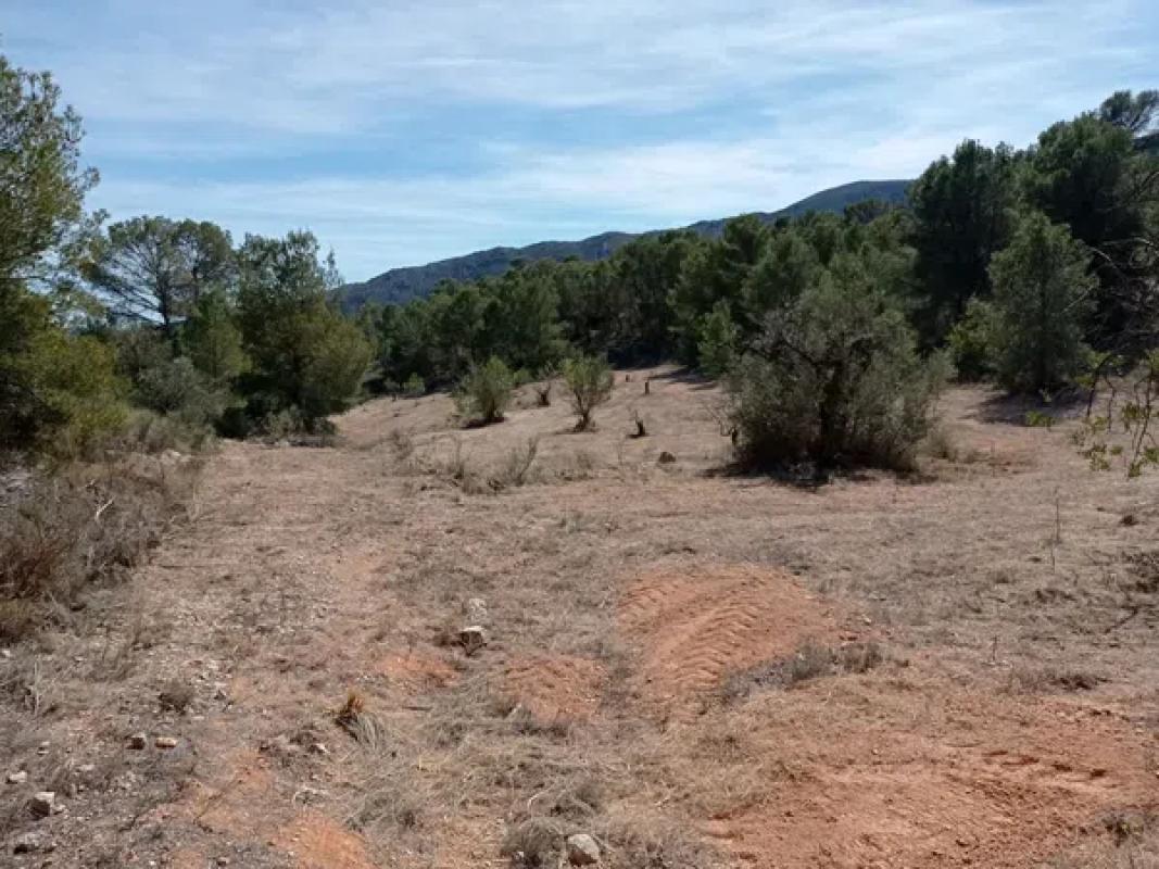 Terreno en venta en La Romana, Alicante photo 5