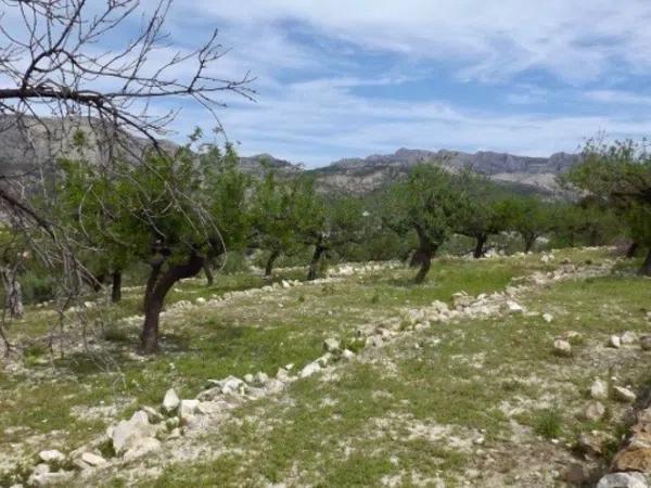 Terreno en Callosa d'En Sarria thumbnail 2