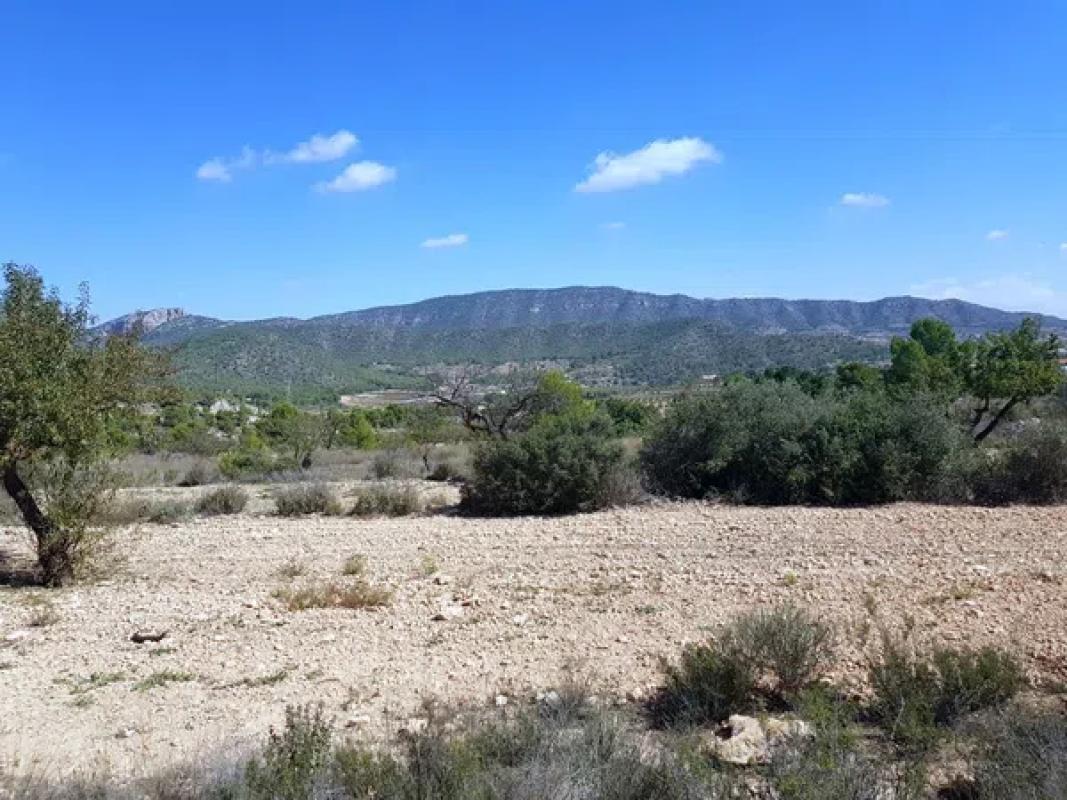 Land for sale in Monovar, Alicante photo 1