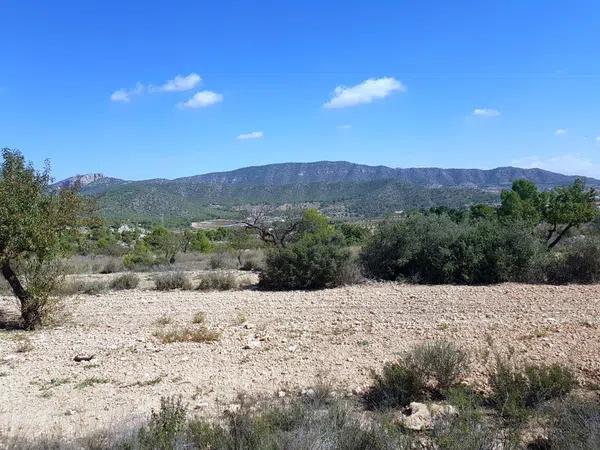 Terreno en Monovar photo 1