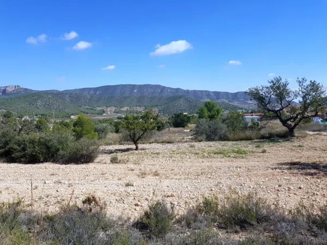 Land for sale in Monovar, Alicante photo 2