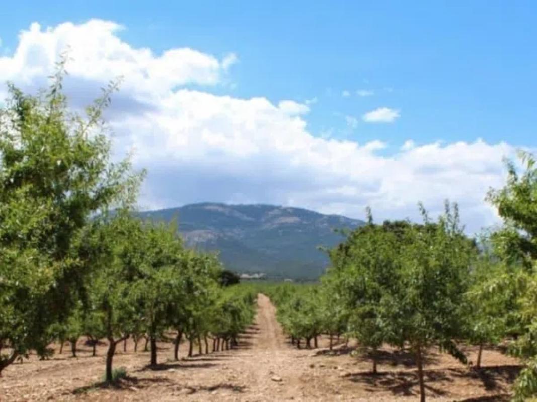 Land for sale in Castalla, Alicante photo 1