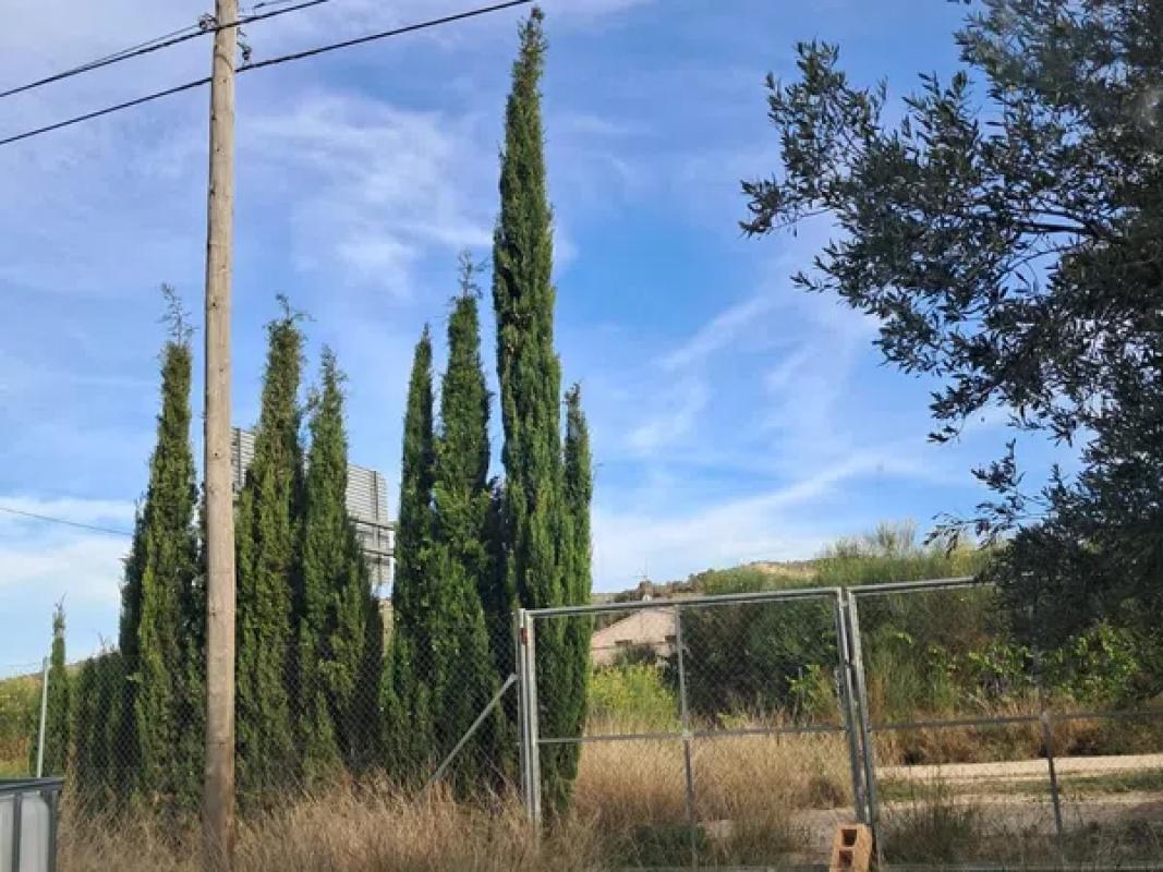 Land for sale in Castalla, Alicante photo 2