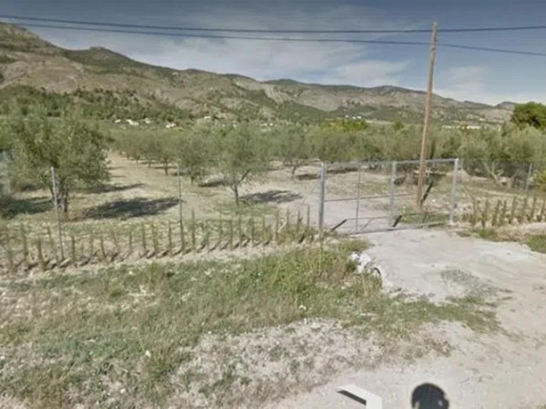 Land for sale in Castalla, Alicante photo 4