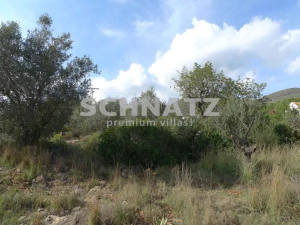 Terreno en Jalón photo 3