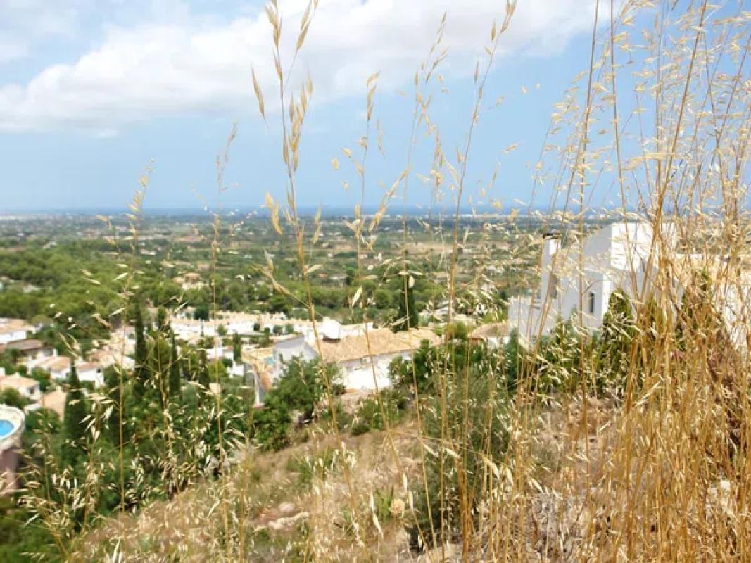 Land for sale in Pedreguer, Alicante photo 2