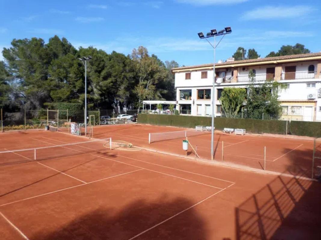 Land for sale in Pedreguer, Alicante photo 4