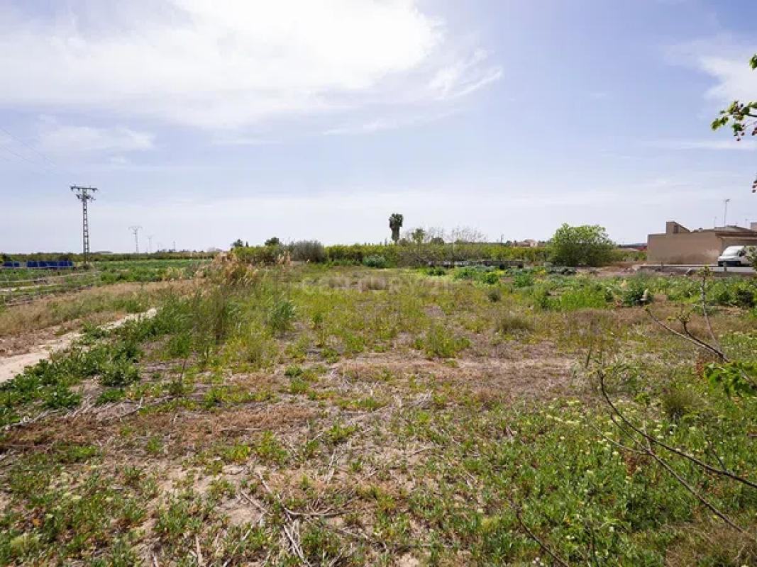 Terreno en venta en Rojales, Alicante photo 5