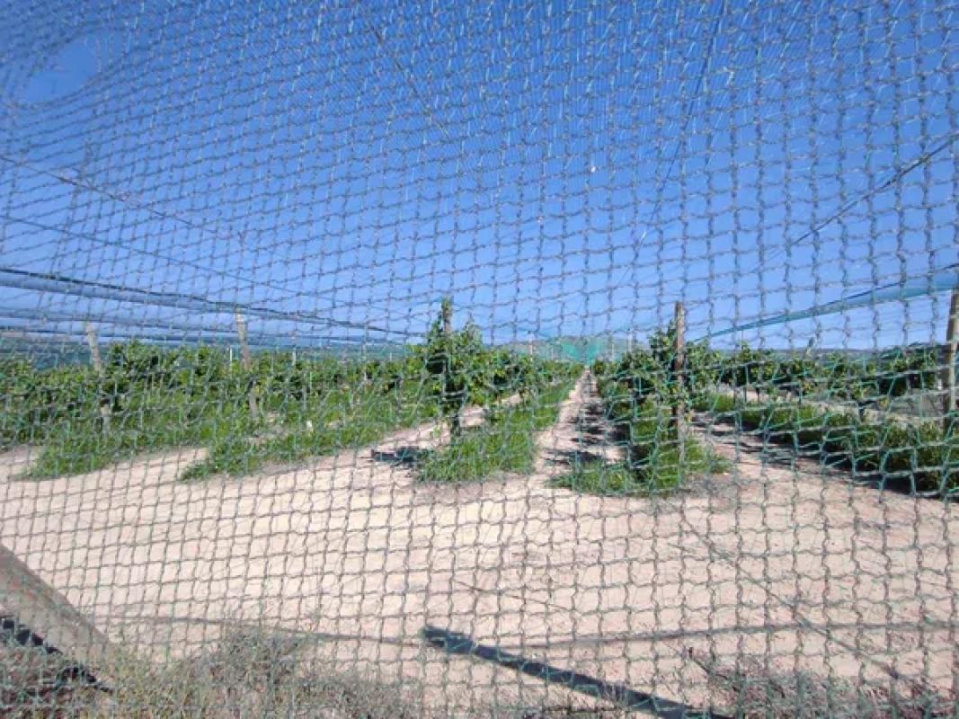 Terreno en venta en Monforte del Cid, Alicante photo 3