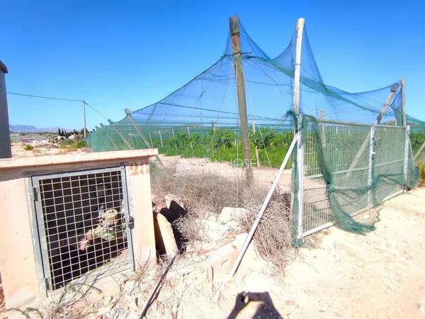 Terreno en Monforte del Cid photo 4