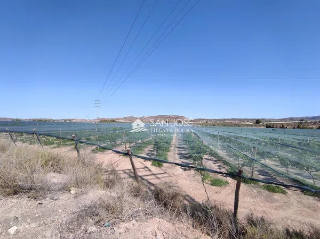 Terreno en venta en Monforte del Cid, Alicante photo 5