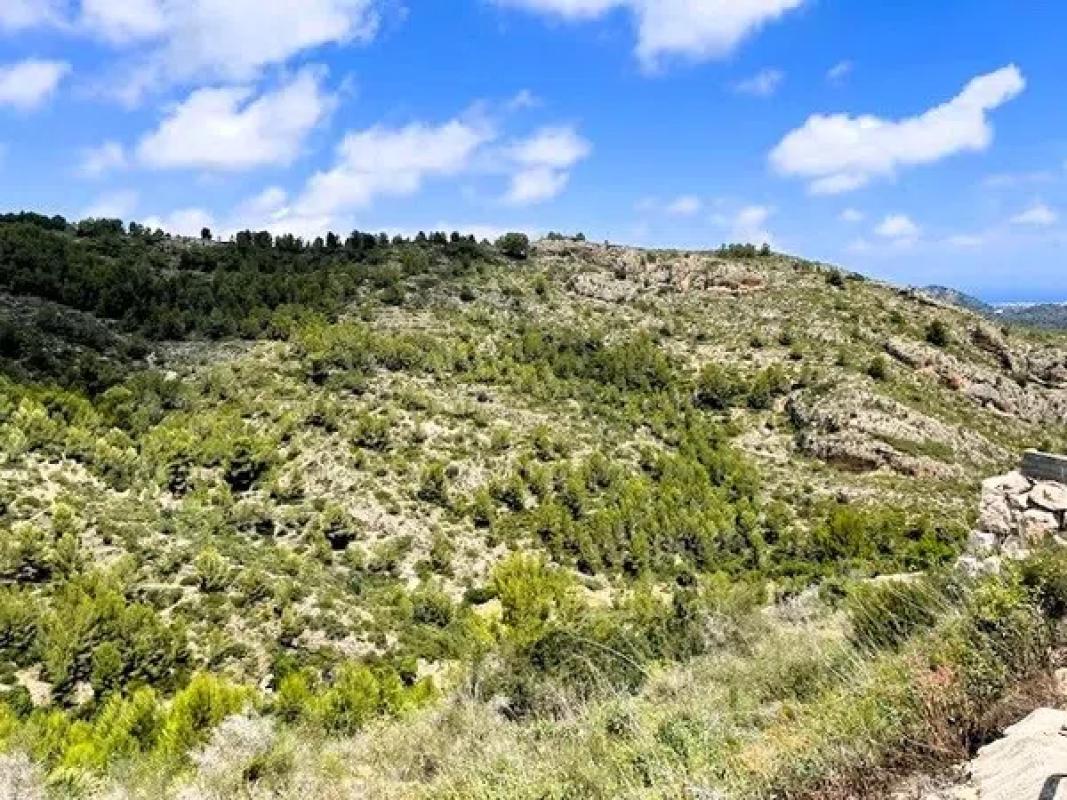 Terreno en venta en Pedreguer, Alicante photo 2