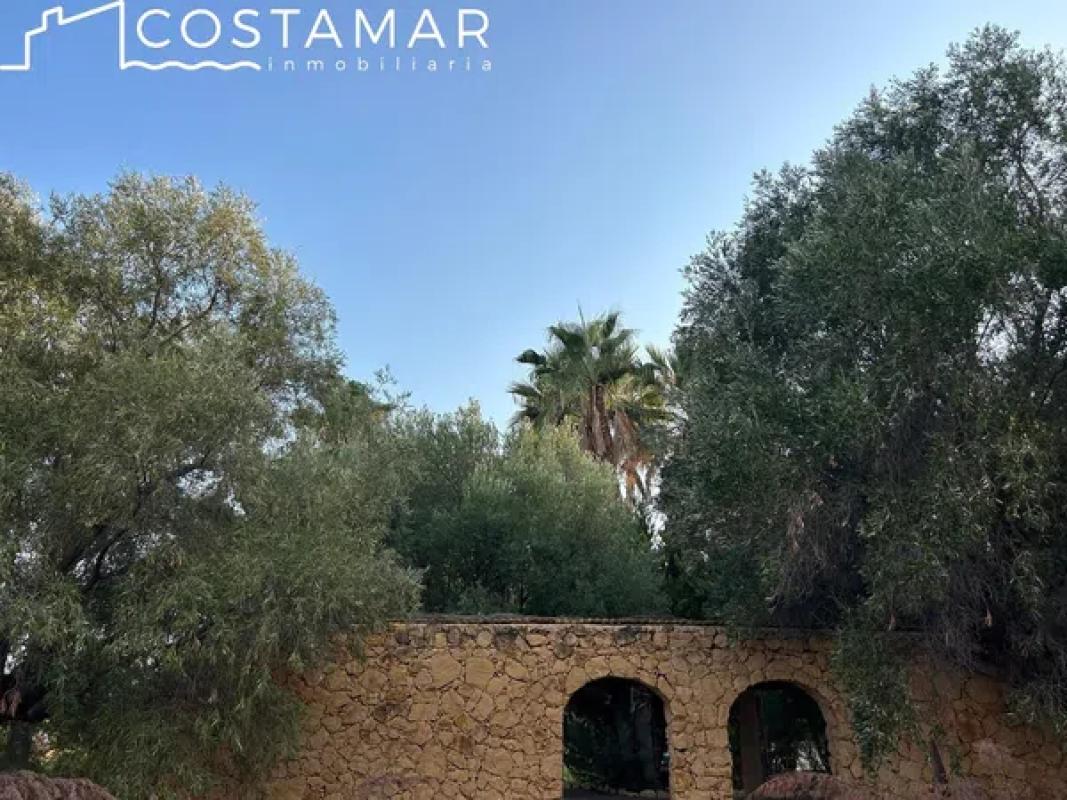Terreno en venta en El Campello, Alicante photo 4