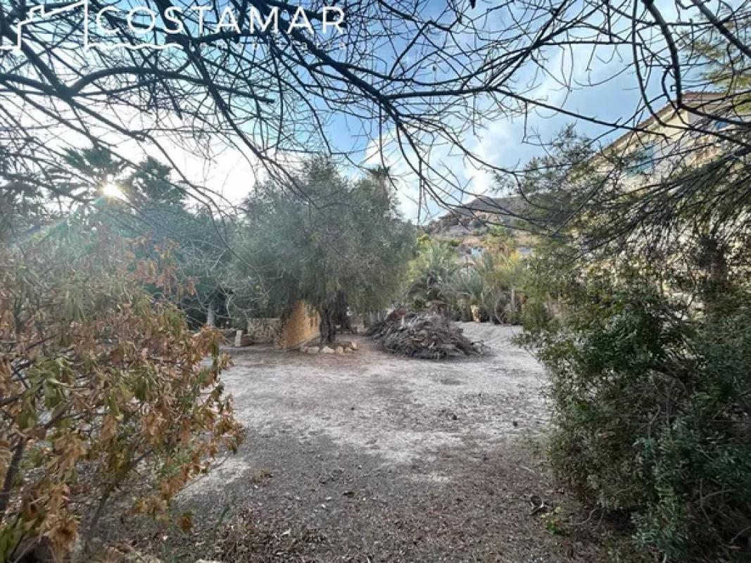 Terreno en venta en El Campello, Alicante photo 5