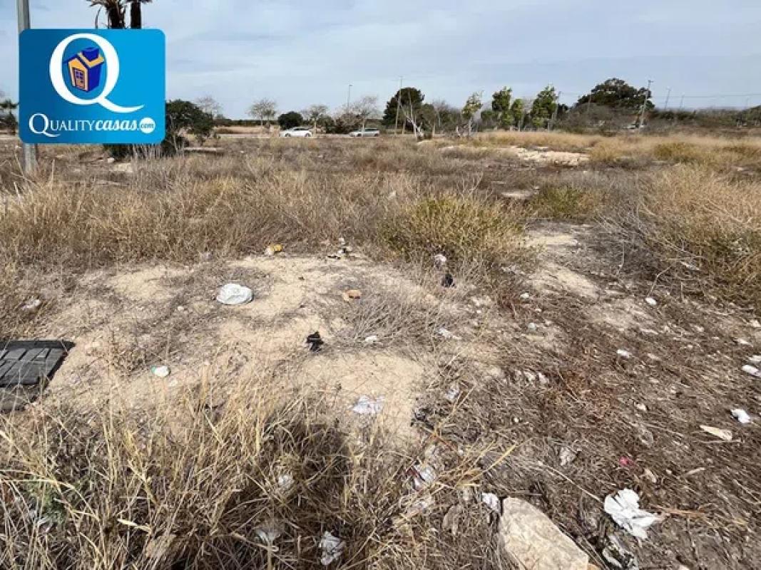 Land for sale in Mutxamel, Alicante photo 1