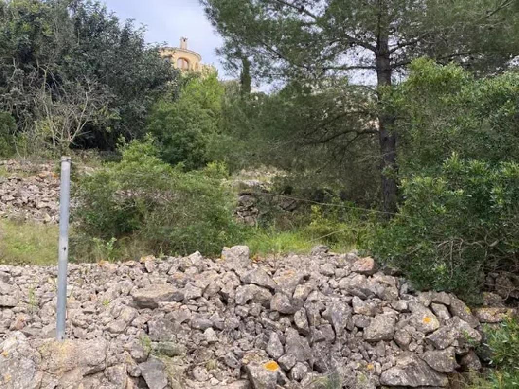 Działka na sprzedaż w Dénia, Alicante photo 4