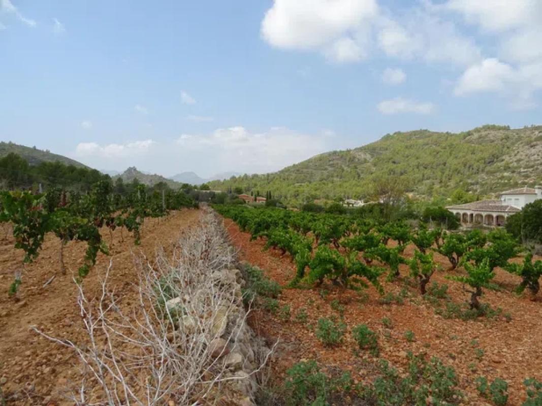 Terreno en venta en Llíber, Alicante photo 1