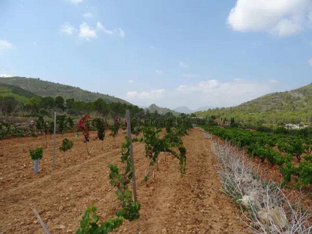 Terreno en venta en Llíber, Alicante photo 2