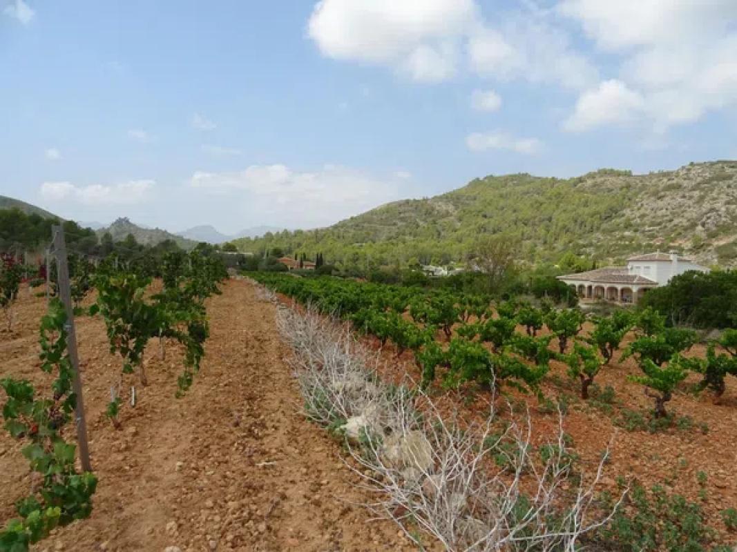 Terreno en venta en Llíber, Alicante photo 3