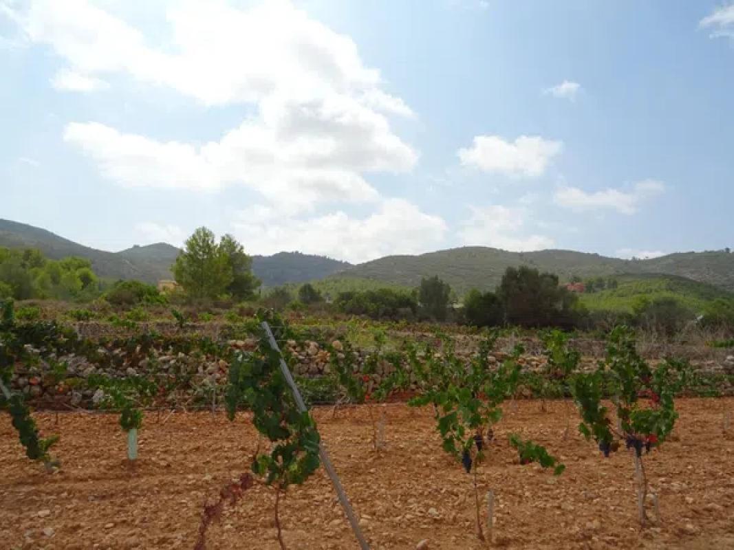 Terreno en venta en Llíber, Alicante photo 4