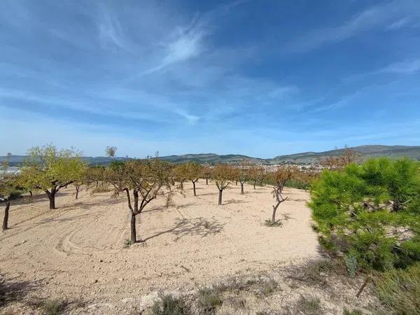 Terreno en Ibi photo 1