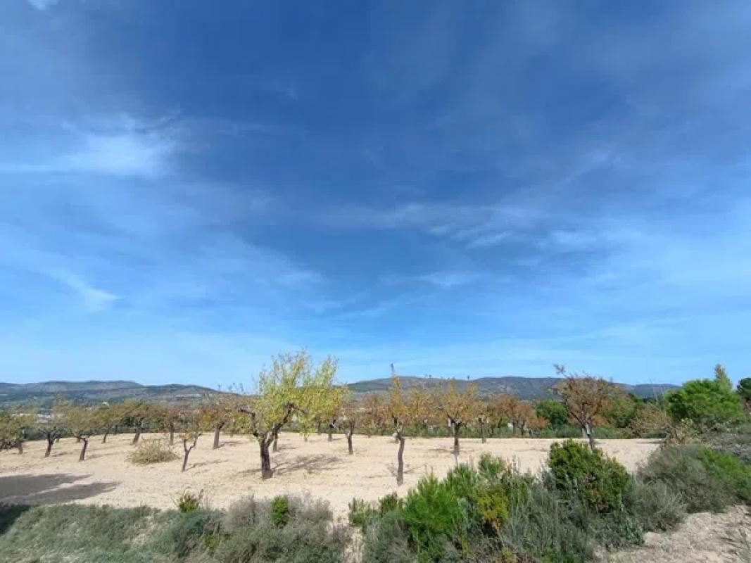 Land for sale in Ibi, Alicante photo 2