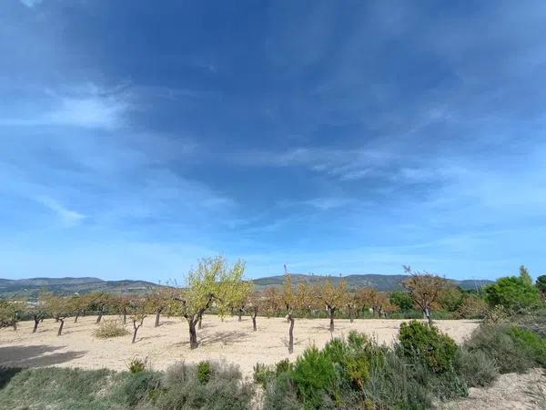 Terreno en Ibi photo 2