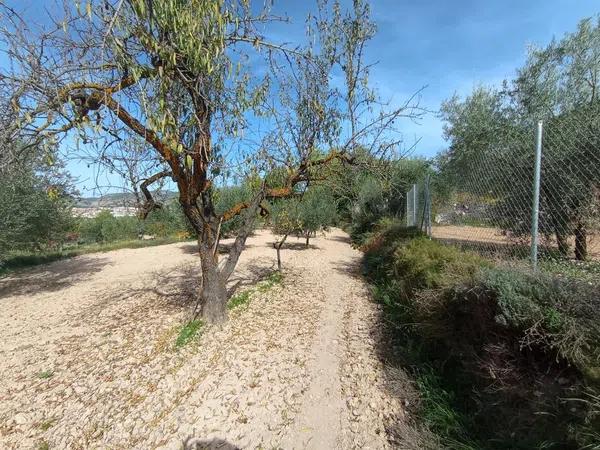 Terreno en Ibi photo 3