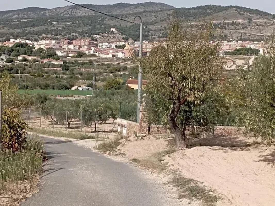 Land for sale in Ibi, Alicante photo 5