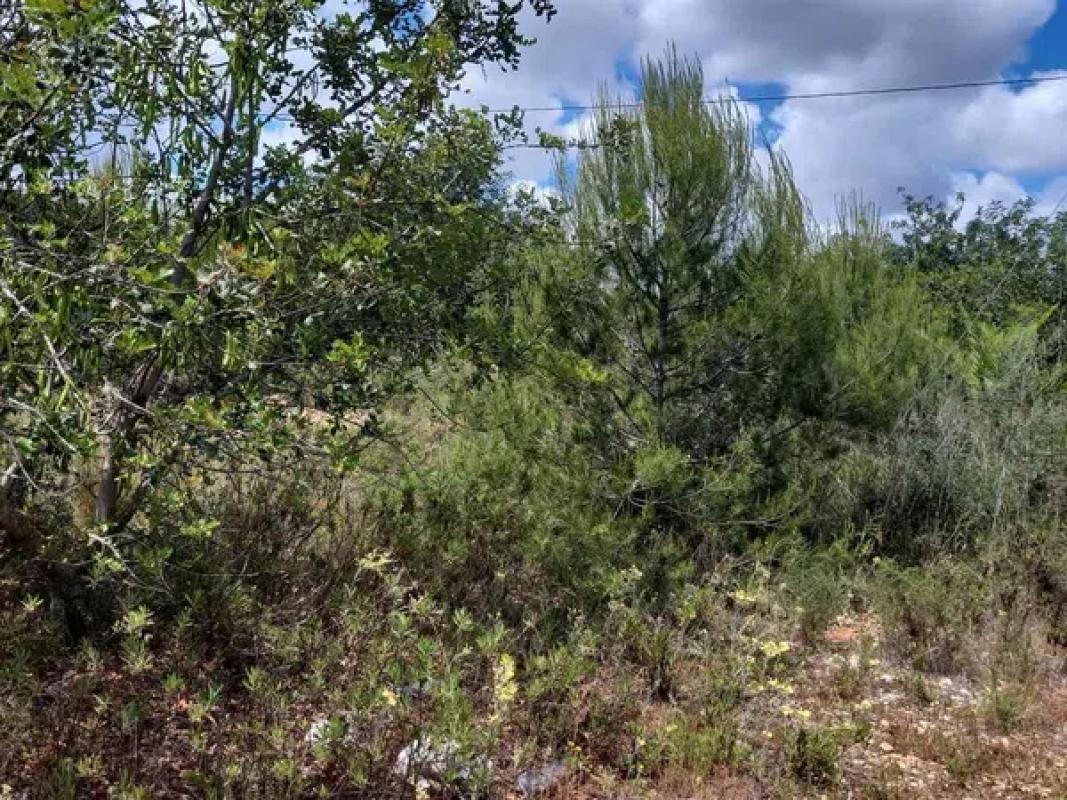 Terreno en venta en Pedreguer, Alicante photo 5