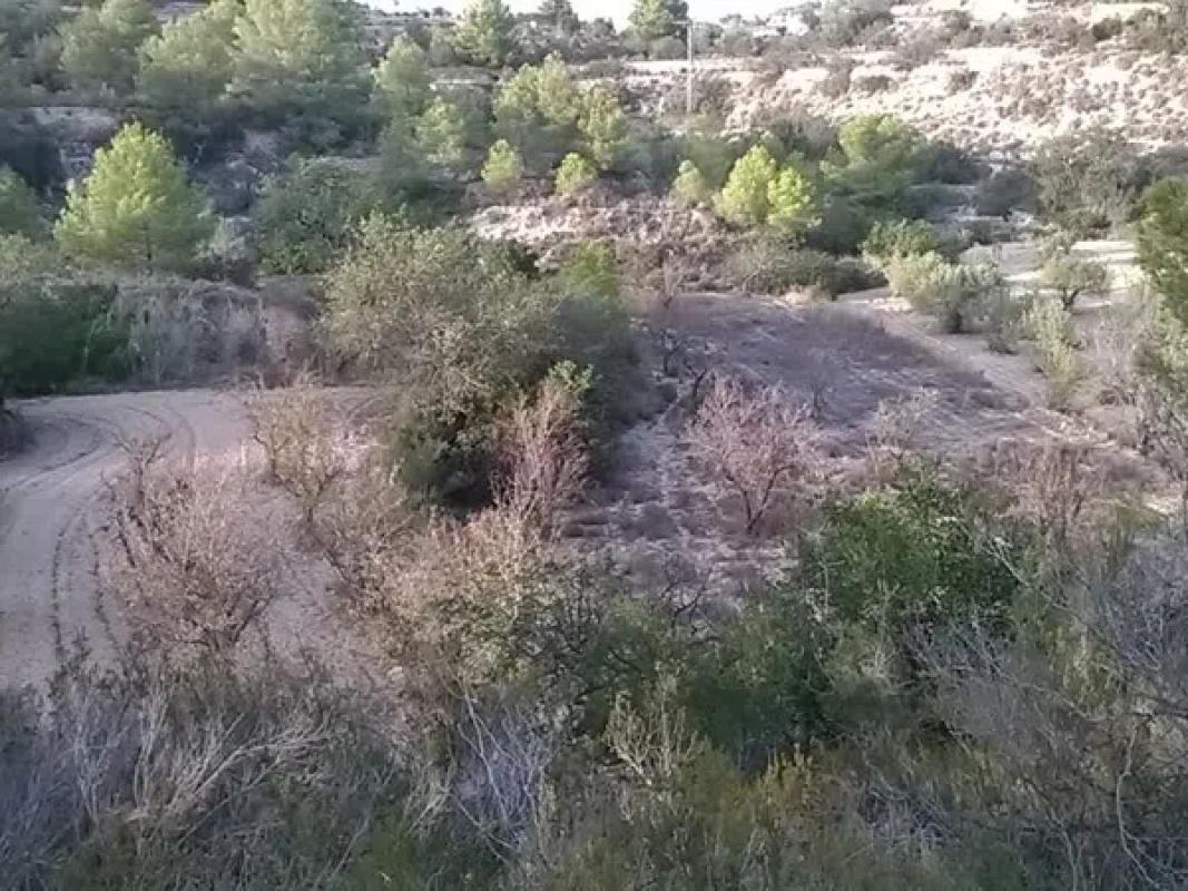 Terreno en venta en Calpe, Alicante photo 5
