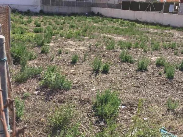 Terreno en calle Juan García s/n thumbnail 2