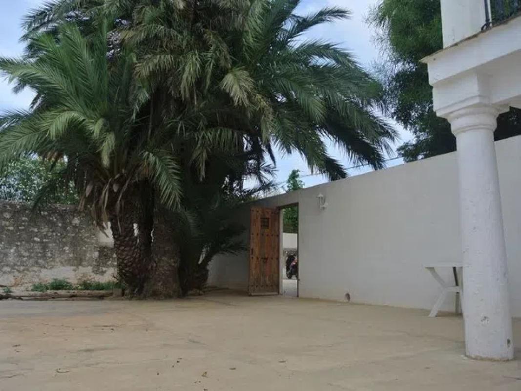 Land for sale in Denia, Alicante photo 4