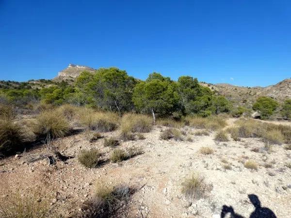 Terreno en via Pista photo 2
