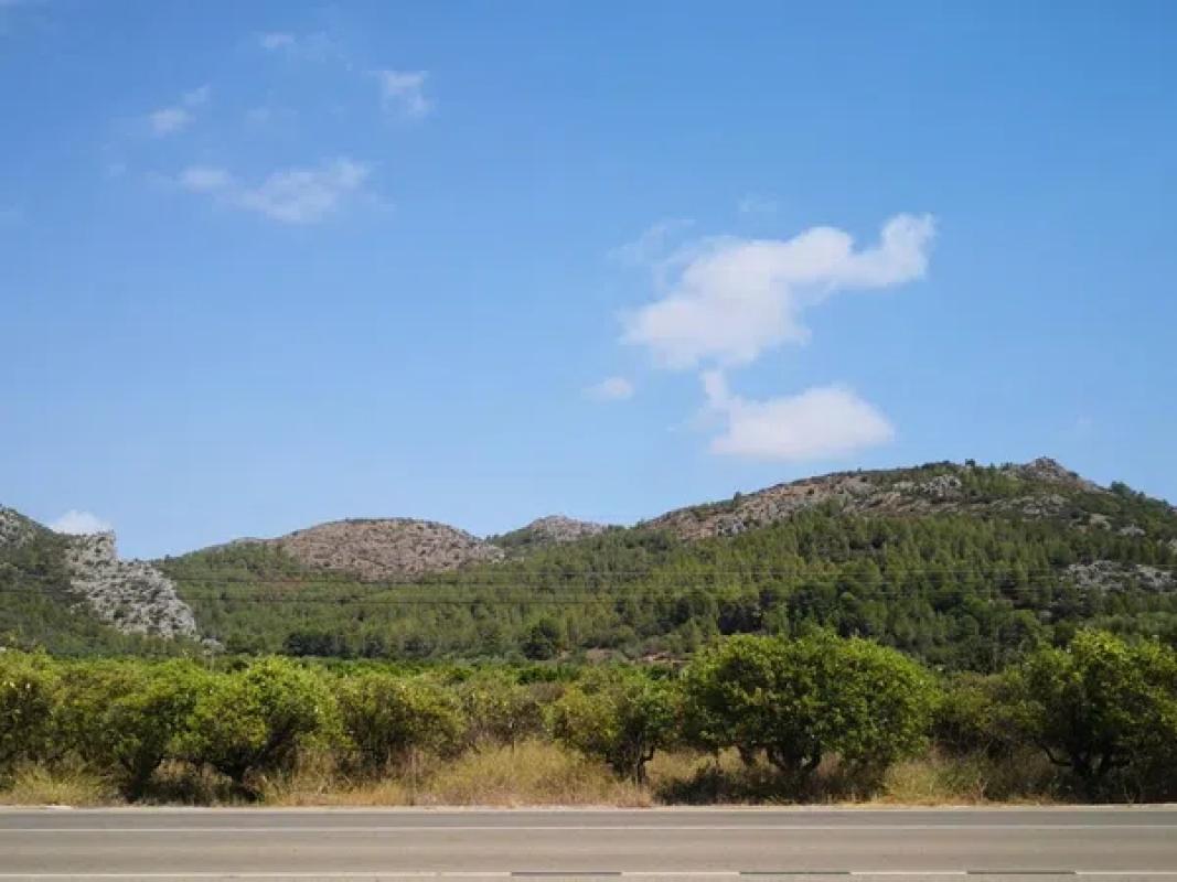 Terreno en venta en Sagra, Alicante photo 5