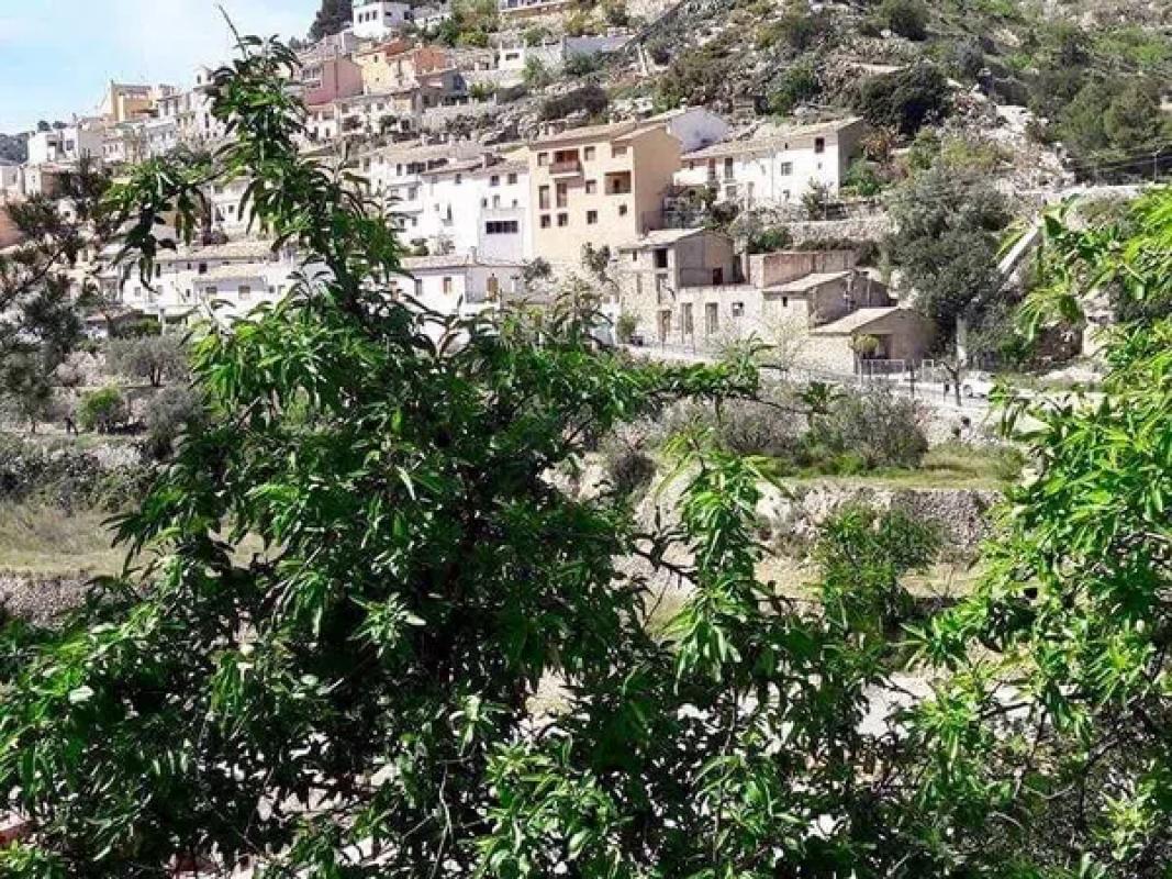 Land for sale in Sella, Alicante photo 2