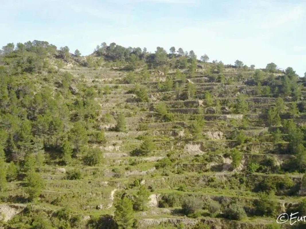 Land for sale in Sella, Alicante photo 5