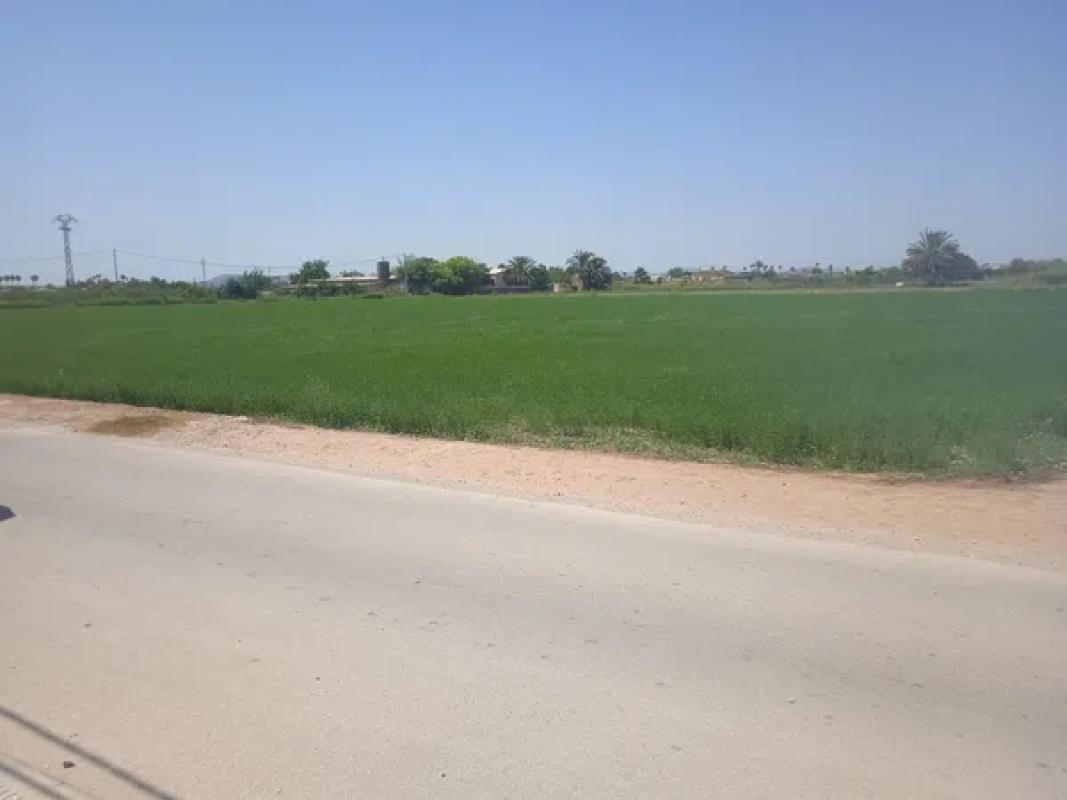 Land for sale in Catral, Alicante photo 4